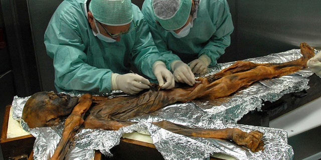 In this November 2010 photo provided by the South Tyrol Museum of Archaeology, researchers examine the body of a frozen hunter known as Oetzi the Iceman to sample his stomach contents in Bolzano, Italy.