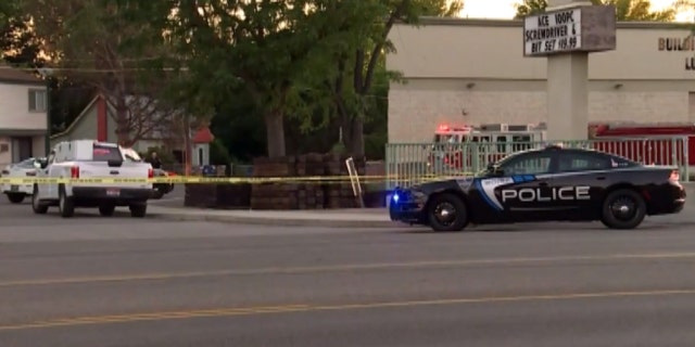 A suspect was in custody after Saturday night's mass stabbing in Boise, Idaho, police said.