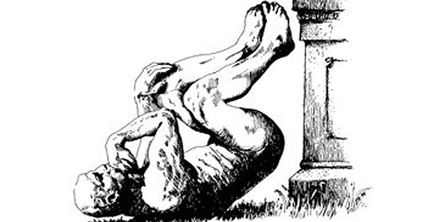 The mascot for the Ig Nobel Prizes, an annual honor for achievements that first make people laugh, and then make them think.
