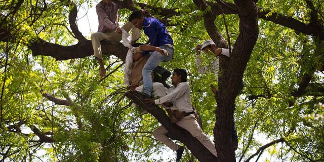 Impoverished Indian Farmer Kills Himself At Farmers Rally Amid Wave Of Rural Suicides Fox News 6751