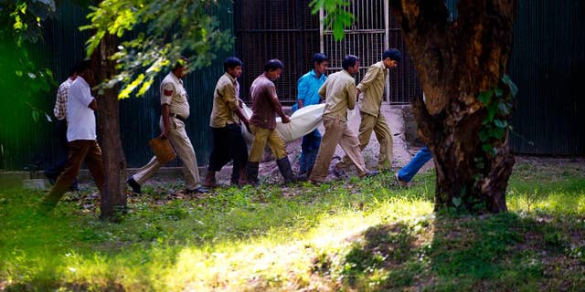 Sept. 23, 2014: Workers carry the body of a man who was killed by a white tiger past its cage at the zoo in New Delhi, India. The white tiger killed the man who climbed over a fence and jumped into the animal's enclosure Tuesday, a spokesman said.