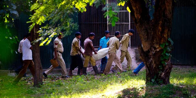 Sept. 23, 2014: Workers carry the body of a man who was killed by a white tiger past its cage at the zoo in New Delhi, India. The white tiger killed the man who climbed over a fence and jumped into the animal's enclosure Tuesday, a spokesman said.