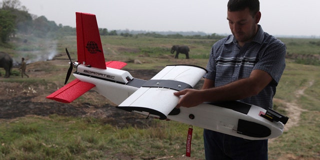 April 8, 2013: A mahout walks past with an elephant used for tourist rides as Remo Peduzzi, Managing Director, Research Drones LLC Switzerland prepares to fly an unmanned aircraft or drone at the Kaziranga National Park at Kaziranga in Assam state, India.