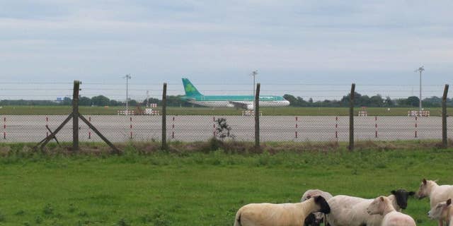 FILE - In this Wednesday June 20, 2012 file photo a flock of sheep stand in a field as two Aer Lingus jets taxi and take off at Dublin Airport, Ireland. Aer Lingus announced Monday Jan. 26, 2015 that British Airways parent IAG has made an improved takeover offer of 2.55 euros ($2.85) per share, and the board of the Irish airline says it is considering the proposal. (AP Photo/Shawn Pogatchnik, File)