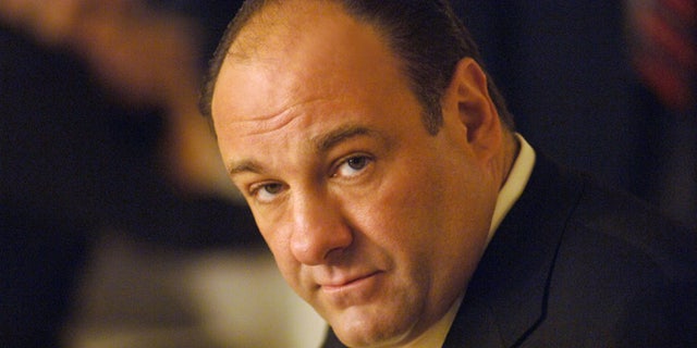 The late James Gandolfini starred on HBO's "The Sopranos" from 1999 to 2007.