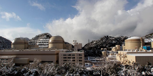 Jan. 26, 2012: In this file photo, the Ohi nuclear power plant reactors, No. 2, right, No. 3, center, and No. 4, are seen in Ohi, Fukui prefecture, north of Tokyo.