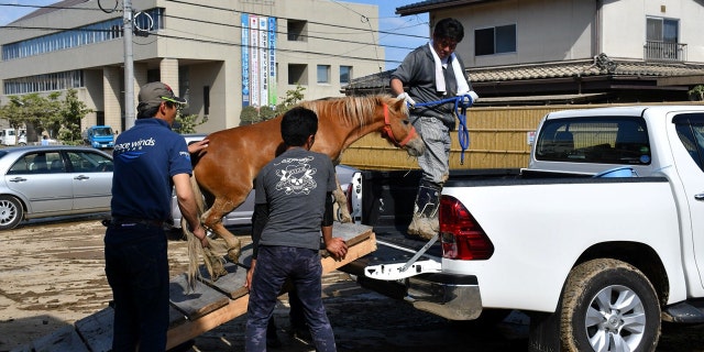 A horse stranded on a rooftop after torrential rain, is rescued in Kurashiki, Okayama Prefecture, Japan July 9, 2018. Picture taken on July 9, 2018. @Peace Winds Japan/Handout via REUTERS ATTENTION EDITORS - THIS PICTURE WAS PROVIDED BY A THIRD PARTY. NO RESALES. NO ARCHIVES. - RC1B0B48EDF0