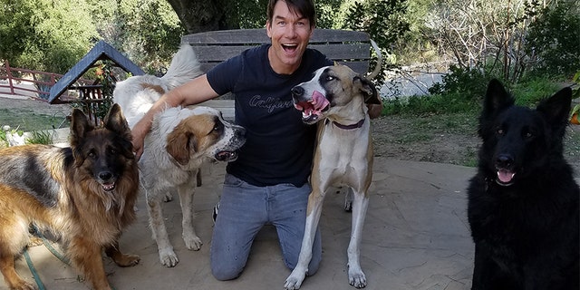 Jerry O'Connell with his dogs at home.