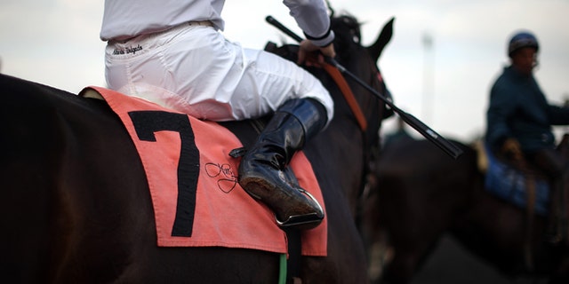 INGLEWOOD, CA - DECEMBER 21: Jockey Alberto Delgado rides onto the track before a race at Betfair Hollywood Park on December 21, 2013 in Inglewood, California. The historic Betfair Hollywood Park race track is shutting its doors after 75 years of thoroughbred horse racing with the final race running on December 22. The 260 acre plot of land is scheduled to be turned into a new retail and housing development. (Photo by Justin Sullivan/Getty Images)