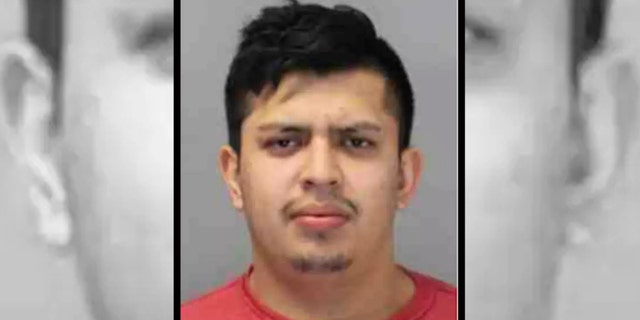 Castillo was charged with assault and criminal contempt after allegedly beating his infant child.