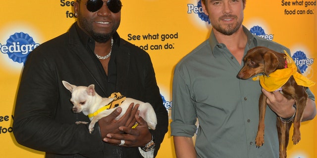 Dog lovers David Ortiz and Josh Duhamel kick-off the PEDIGREE¨ Brand "See what good food can do" campaign at the 2014 Sundance Film Festival Monday Jan. 20, 2014, in Park City, Utah.