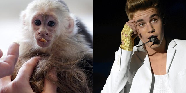 Justin Bieber, right, and his pet monkey are shown.