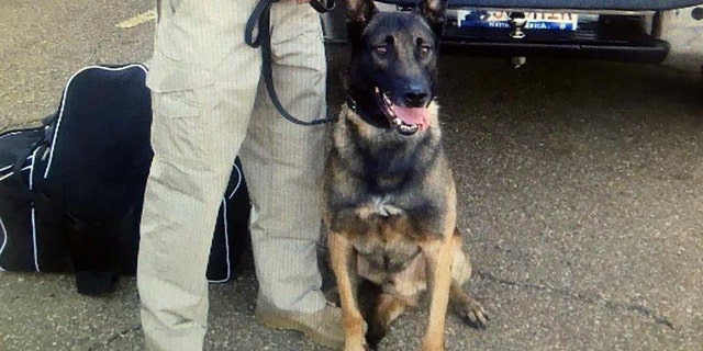 Dex, a K-9 officer with the Hinds County Sheriff's Department, died after suffering a heat stroke.