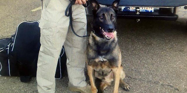 Dex, a K-9 officer with the Hinds County Sheriff's Department, died after suffering a heat stroke.
