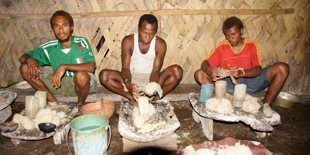 Native Pacific Islanders ground kava.
