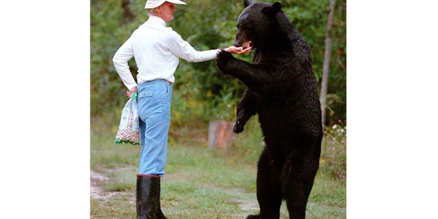 This 1997 file photo, provided by The Virginia-Pilot, shows Kay Grayson feeding a 400-pound black bear she called "64" from her hand.