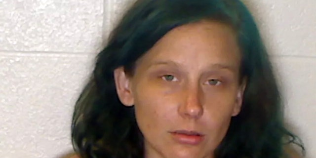 <strong>Kellie Collins, who was a Democratic congressional candidate in Georgia, pleaded guilty Thursday to voluntary manslaughter. </strong>