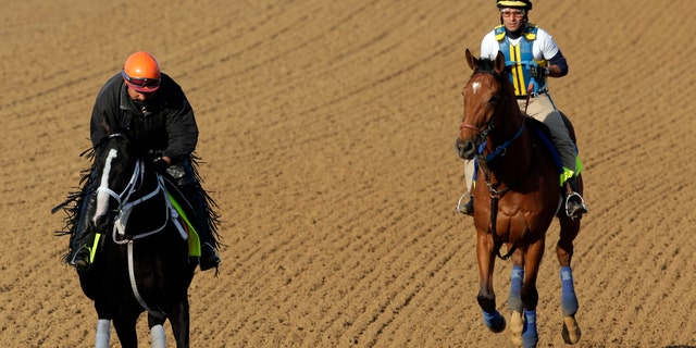 Exercise rider Aurelio Gomez rides Kentucky Derby hopeful Black Onyx, left, and Trainer Rudy Rodriguez rides Vyjack for a workout at Churchill Downs Tuesday, April 30, 2013, in Louisville, Ky. (AP Photo/Charlie Riedel)