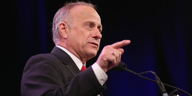 U.S. Representative Steve King (R-IA) speaks to guests at the Iowa Freedom Summit on January 24, 2015 in Des Moines, Iowa. (Photo by Scott Olson/Getty Images)