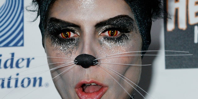 Heidi Klum wears a cat costume with special contact lenses to change her eye color at the 8th annual Heidi Klum Halloween Party in Hollywood, California October 31, 2007. Officials are now warning that illegal colored contact lenses may prove harmful to eyes. (REUTERS/Fred Prouser)