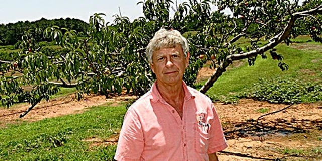 North Louisiana business owner Joe Mitcham stands in front of what’s left of his peach orchard, ravaged by a particular fungus. A product exists to fix the problem and save his business, but the federal government has phased it out of the market on the grounds that it threatens the ozone layer.