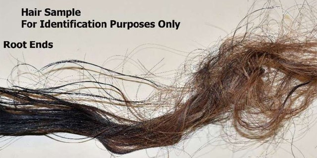 Hair sample from the victim found by Lake Houston in Texas.