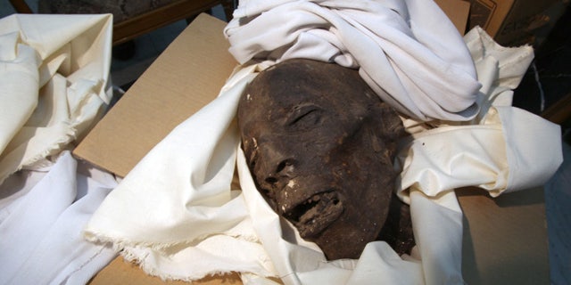 One of the Late Period Skull in the storage room next to the CT scanner lab at the Egyptian Museum, Cairo.