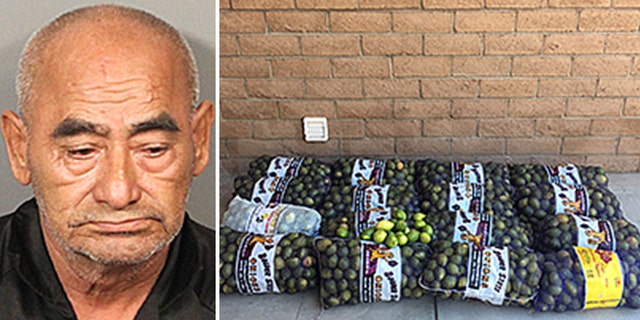 Dionicio Fierros, 69, allegedly stole 800 pounds of freshly picked lemons from a farm in Riverside, California, according to the sheriff's department.
