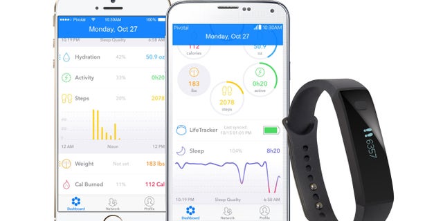 The Life Tracker 1 band