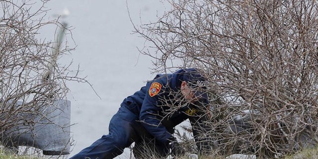 April 7, 2011: A member of the Suffolk County police search team looks through a brush area for the remains of more possible victims near the beach area of Oak Beach, New York.