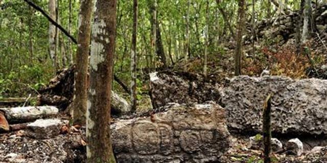 Archaeologists Say They Found Lost Maya City Hidden For Centuries In ...