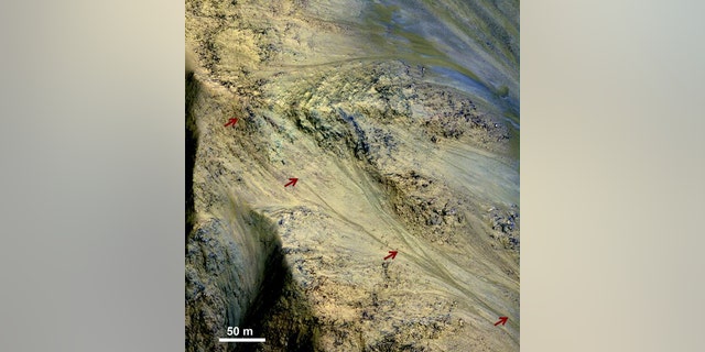 Features called recurring slope lineae (RSL), which could indicate seasonal flows of salty water, are found on some Martian slopes in warmer months. Red arrows point out an RSL in this image taken by the High Resolution Imaging Science Experime