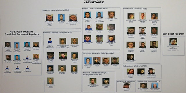 56 members of Central American gang, MS-13, arrested in Massachusetts ...