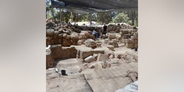 General picture of the site.
