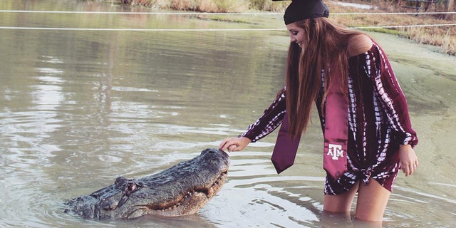 Makenzie Noland plays with a gator named "Big Tex" at Gator Country in Beaumont, Texas, as she poses for graduation photos.