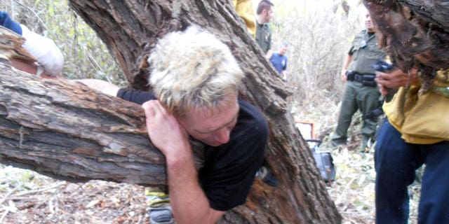 October 25, 2011: This image provided by the Orange County Fire Authority shows officials and rescue personnel around a man who became stuck in a tree in Laguna Hills, Calif.