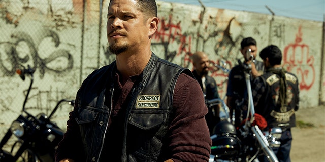 JD Pardo