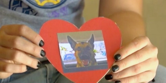 Julieta Robles shows a photograph of her dog "Box," in Hermosillo, Mexico, Wednesday, April 1, 2015.