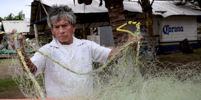 In this Nov. 9, 2013 photo, fisherman Raul Hurtado, 64, checks his nets outside of his small shack where he sells seafood in the port city of Veracruz, Mexico. Hurtado is a local legend, the man who found and lost millions of dollarsâ worth of Aztec gold almost four decades ago, was tossed in prison, then found peace making $150 a month selling octopus and other seafood from a thatched-roof shack. (AP Photo/Felix Marquez)
