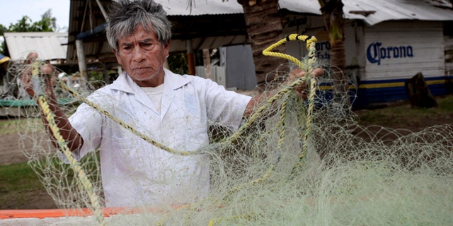 In this Nov. 9, 2013 photo, fisherman Raul Hurtado, 64, checks his nets outside of his small shack where he sells seafood in the port city of Veracruz, Mexico. Hurtado is a local legend, the man who found and lost millions of dollarsâ worth of Aztec gold almost four decades ago, was tossed in prison, then found peace making $150 a month selling octopus and other seafood from a thatched-roof shack. (AP Photo/Felix Marquez)