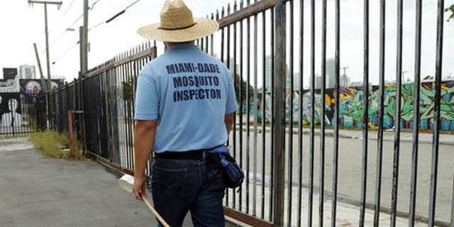 An inspector with the Miami-Dade County mosquito control department, looks for standing water as he inspects an empty lot, Tuesday, Aug. 2, 2016 in the Wynwood neighborhood of Miami. The CDC has advised pregnant women to avoid travel to this neighborhood where mosquitoes are apparently transmitting Zika directly to humans. (AP Photo/Lynne Sladky)