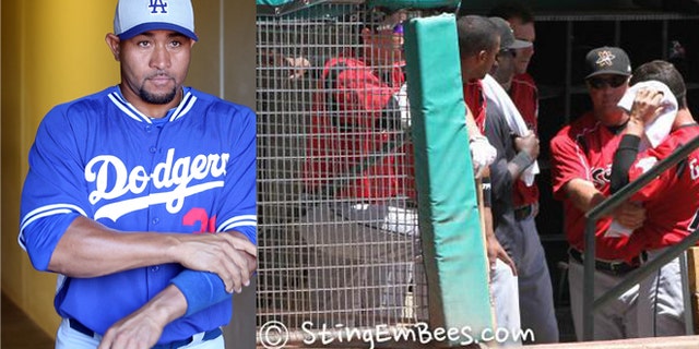 Miguel Olivo, pictured left, (Getty Images) allegedly bit teammate Alex Guerrero's ear off during fight.