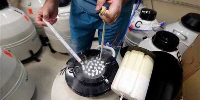 An embryologist handles frozen sperm. The Pentagon is starting a pilot program that would pay for soldiers to freeze their eggs and sperm in order to put off starting a family and continue serving their country.