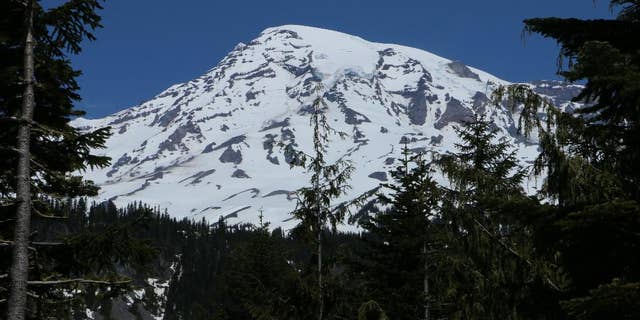 Mount Rainier is seen in the distance from a viewpoint within Mount Rainier National Park on Sunday, June 1, 2014. Park officials said that there are no immediate plans to recover the bodies of six climbers who likely fell thousands of feet to their deaths in the worst alpine accident on the mountain in decades.(AP Photo/Rachel La Corte)