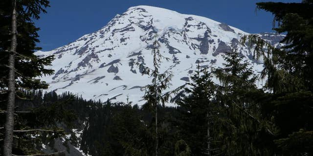 Mount Rainier is seen in the distance from a viewpoint within Mount Rainier National Park on Sunday, June 1, 2014. Park officials said that there are no immediate plans to recover the bodies of six climbers who likely fell thousands of feet to their deaths in the worst alpine accident on the mountain in decades.(AP Photo/Rachel La Corte)