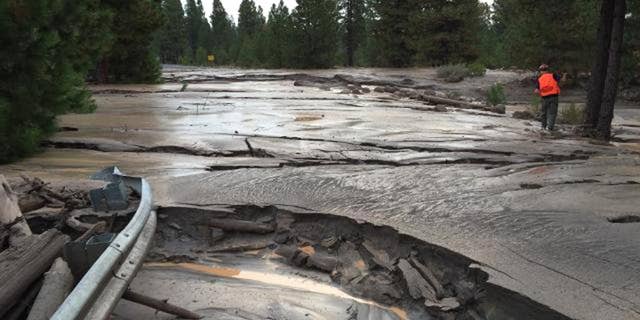 This Sunday, Sept. 21, 2014 photo provided by the U.S. Forest Service shows a mud flow along Mud Creek Canyon in the Shasta-Trinity National Forest. The largest mudslide on Northern California's Mt. Shasta in two decades may be related to California's prolonged drought, experts said Sunday. The mudslide began Saturday, Sept. 20, 2014 after a glacier holding pockets of water either shifted or melted, releasing water down the southeastern side of Mt. Shasta, said Andrea Capps, a spokeswoman for Shasta-Trinity National Forest. (AP Photo/U.S. Forest Service)