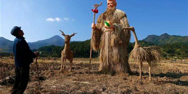 A farmer looks at scarecrows made in the image of a Chinese god in Yongjia county in China's Zhejiang province. Kawasaki disease has been shown to originate in yeast from Chinese fields.