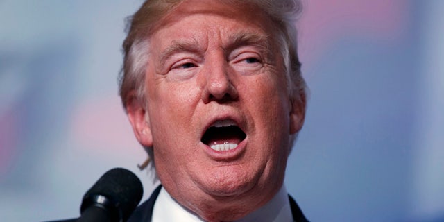 FILE - In this Sept. 9, 2016 file photo, Republican presidential candidate Donald Trump speaks in Washington. Hillary Clinton has spent decades talking about the needs of children and touting the benefits of early education. Itââ¬â¢s a new subject for Donald Trump. The Republican presidential nominee added plans for education to his still relatively thin roster of policy proposals this past week, unveiling an effort to spend $20 billion during his firstw year in office to help states expand school choice programs. Trump wasnââ¬â¢t shy about his intentions, debuting his ideas at an inner-city charter school in Cleveland as part of his new outreach to minority voters. (AP Photo/Evan Vucci, File)