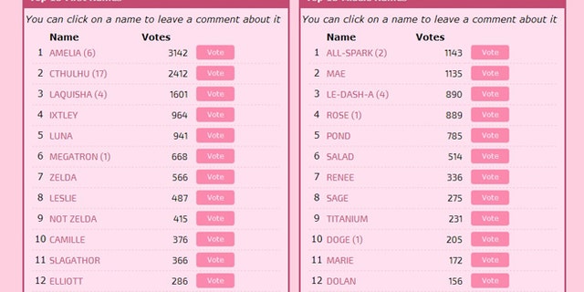 A screenshot of the current leaderboard at namemydaughter.com.