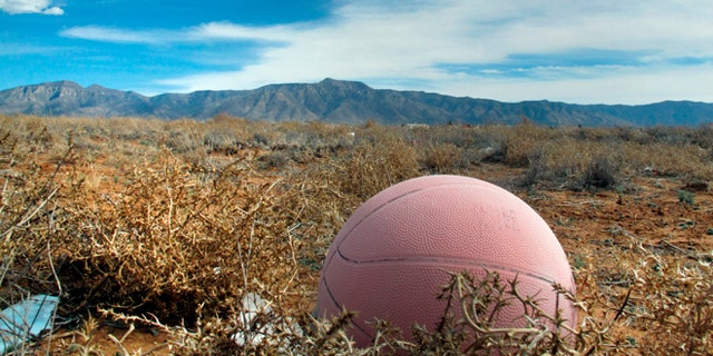 An old basketball in an abandon lot south of Albuquerque is shown where authorities say the body of a 12-year-old boy was discovered, Wednesday, Feb. 19, 2014, in Meadow Lake, N.M. Valencia County Sheriff Louis Burkhard said Alex Madrid of Albuquerque was found in the field Tuesday after his parents reported him missing.
(AP Photo/Russell Contreras)